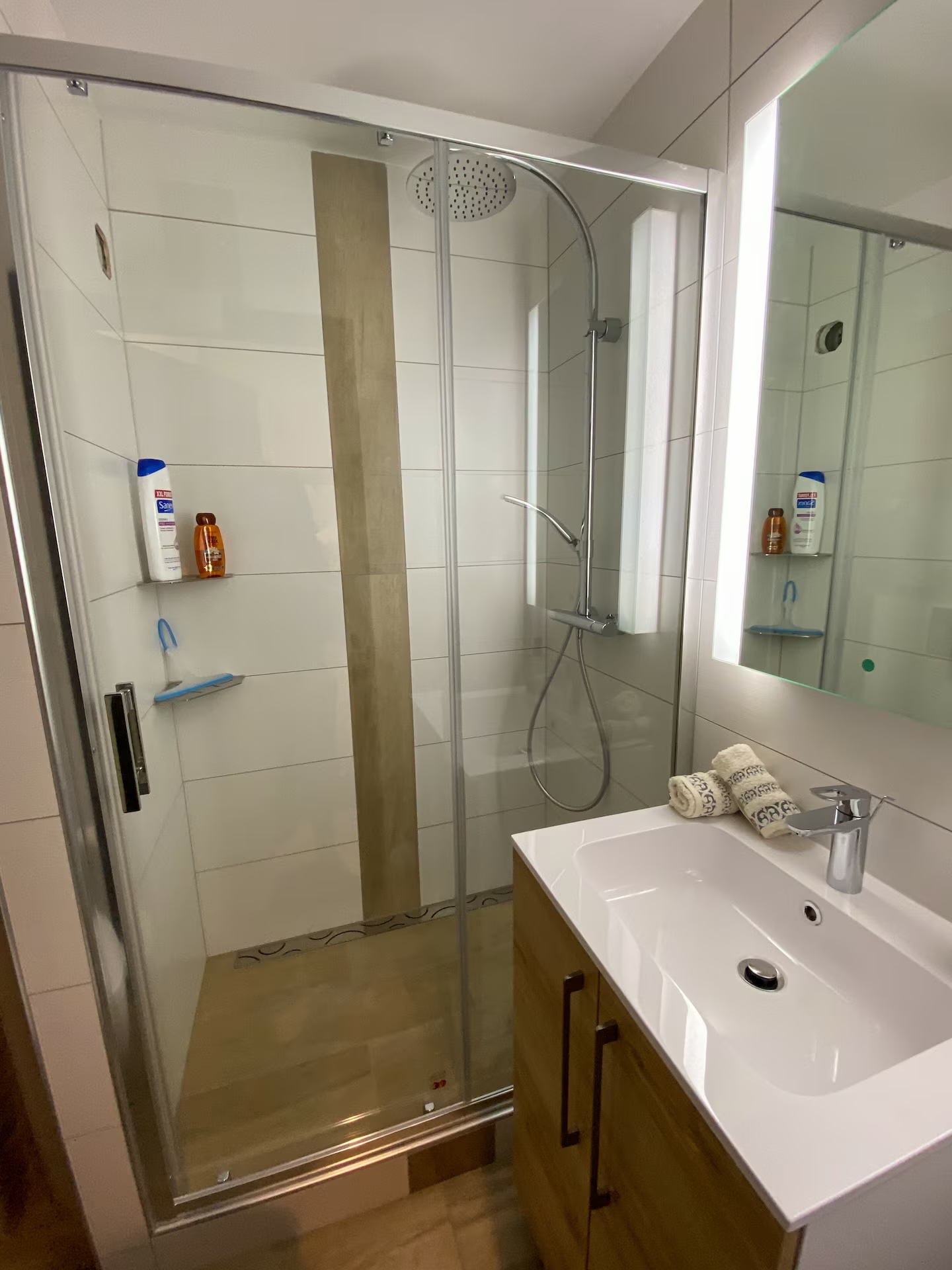 Salle d’eau moderne avec douche à l’italienne